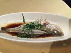老龙井御茶园(老龙井店)-十八棵（老龙井）御茶园(老龙井店)