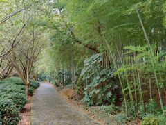 -九龙潭景区