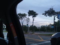 -宝安西湾红树林湿地公园