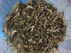 -东钱湖旅游度假区