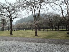 -顺峰山公园