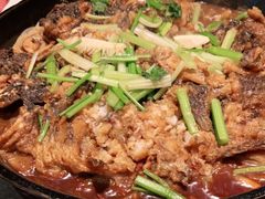 -老板恋上鱼(印象城店)