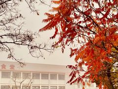 -南开大学滨海学院