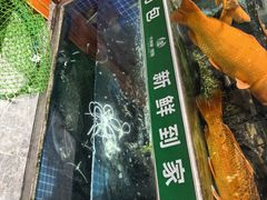 -全乐鱼馆·淳牌有机鱼直营店