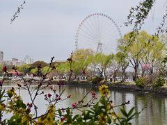 -无锡蠡湖国家湿地公园-蠡园