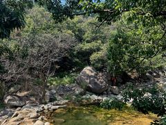 -沂蒙山旅游区云蒙景区(蒙山国家森林公园)
