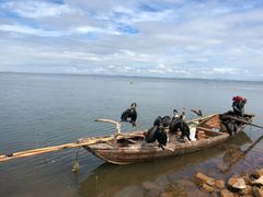 -鄱阳湖国家湿地公园