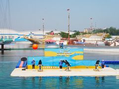 -秦皇岛乐岛海洋王国