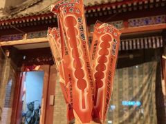 -和禄德冰糖葫芦