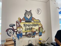 -南京Hallo宠物乐园·哈罗犬舍·柴犬繁育基地