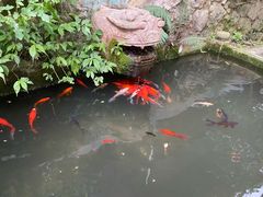 -黔灵山公园