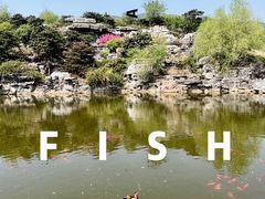 -北京西山国家森林公园