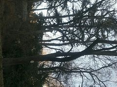-中国人民解放军空军特色医学中心(空军总医院)
