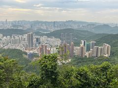 -梧桐山风景名胜区