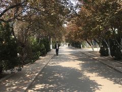 -山东师范大学(千佛山校区)