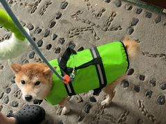 -安吉龙王山峡谷漂流