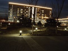-首都医科大学附属北京天坛医院