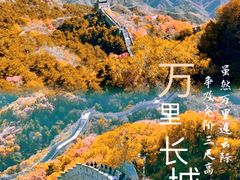 -桔子文创·企业团建·活动策划·拓展会议