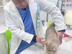 -佳雯宠物医院(金华南路分院)