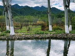 -百里山水画廊