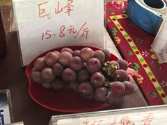 -马陆小张葡萄园农家乐