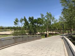 -东郊湿地公园
