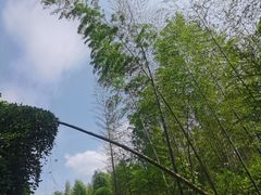 -四明湖