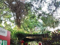 -海南热带野生动植物园