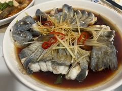 -煲来饱去冷水鱼