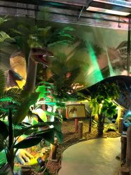 点击看大图 -恐龙探索乐园(磁器口店)