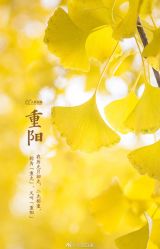 -Dr.U博士医疗美容医院