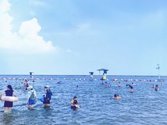-碧海金沙