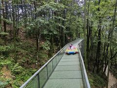 -大围山国家森林公园