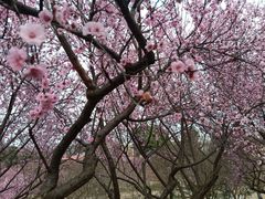 景点-秀丽东方