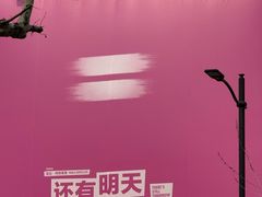 -大光明电影院(南京西路店)