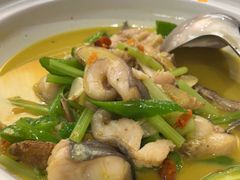 -饭怕鱼·黄焖鲟龙鱼(湖大店)