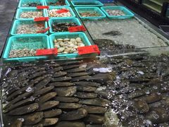 -渔傅·蓝海岸霞浦海鲜(正祥店)
