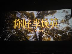 -深影国际影城(学院南路店CGS中国巨幕店)