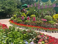-南山植物园