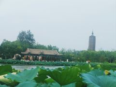 -西海子公园