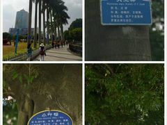 -北部湾广场