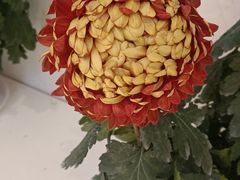 -汇龙潭