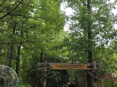 -东平国家森林公园