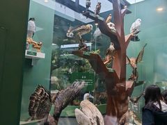 -国家自然博物馆