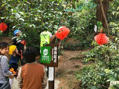 -芦仙山景区-飞越丛林探险乐园