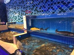 水产区-乔哥铭洋海鲜自助(皇城恒隆广场店)