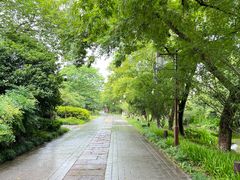 -西溪国家湿地公园