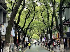 -柠季·手打柠檬茶(岳麓山登高路店)