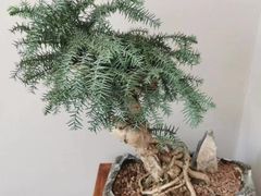 -枕水江南(红胜大街店)