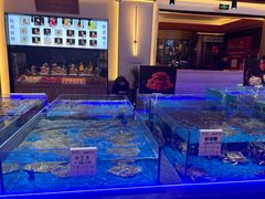 大堂-鸽子张·家宴(大兴店)